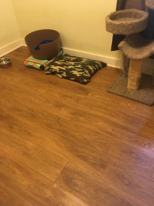 M & N Flooring and More: Service Image-2 M & N Flooring and More: Service Image-2